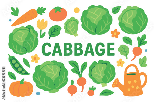 Colorful garden vegetables and tools illustration with cabbage