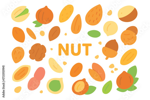 Colorful cartoon nuts and seeds variety illustration with text