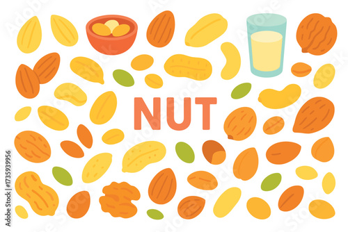 Colorful variety of nuts and nut products illustration on white background