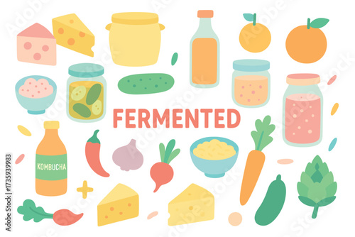 Variety of fermented foods and ingredients in colorful illustration