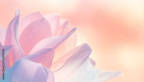 淡い光に包まれた幻想的な花びらの抽象アート背景