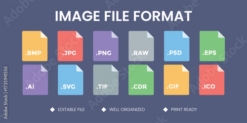 Set of Digital Image File Format Icons Vector Illustration with BMP, JPG, PNG, RAW, PSD, EPS, AI, SVG, TIF, CDR, GIF, ICO for Graphic Design and Tech Concepts

