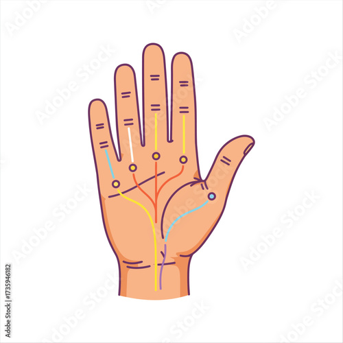 Explore Hand Lines and Their Meanings