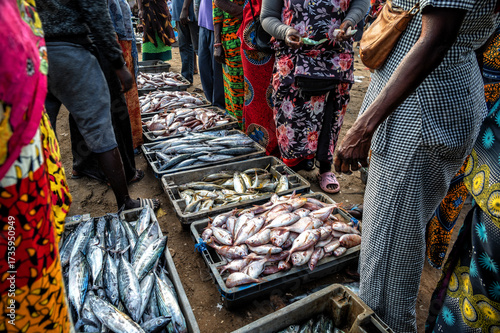 Shoppers buying fish in a fish market in Mbour, Senegal