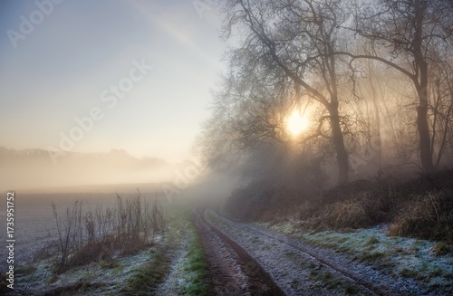 Farm track in winter, Cotswolds, England