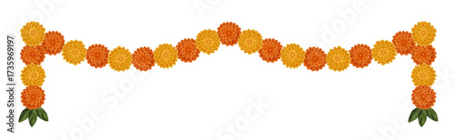 Yellow orange marigold flowers. Indian traditional floral festive garland toran. Zendu flowers isolated on background Party decor. Diwali, Halloween Dia de los Muertos holiday vector illustration