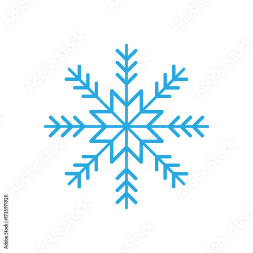 Snowflakes