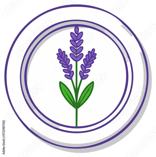 Circular emblem design with lavender flowers, a botanical illustration, vector graphics