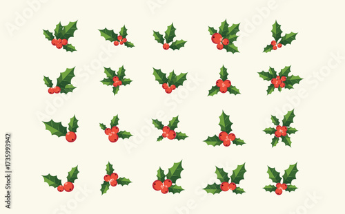 Holly Berries and Leaves Illustration