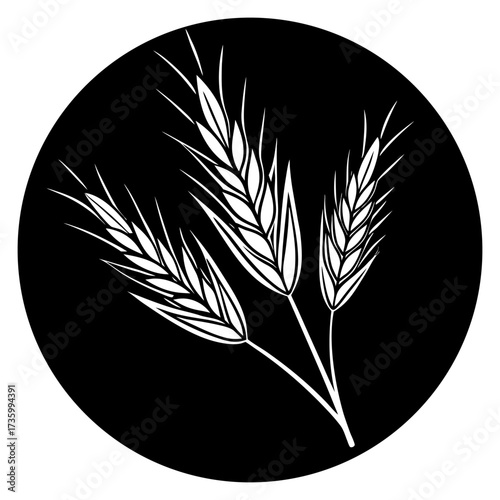 Hyper Realistic Golden Oat Stalks Illustration Botanical Grain Design for Organic Food, Packaging & Eco Branding.