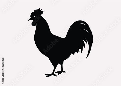 Black Rooster line art Vector silhouette