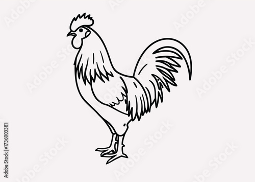 Black Rooster line art Vector silhouette