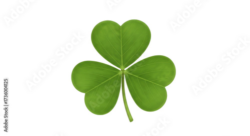 Fotografie Isolated three leaf clover, symbol of Saint Patrick's Day and Irish luck, spring