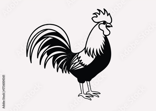 Black Rooster line art Vector silhouette