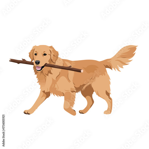 Golden Retriever Dog Carrying a Stick in its Mouth.
