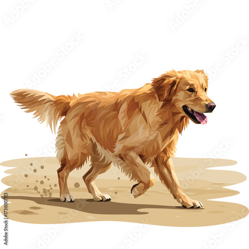 Golden Retriever Dog Running on Sandy Beach.