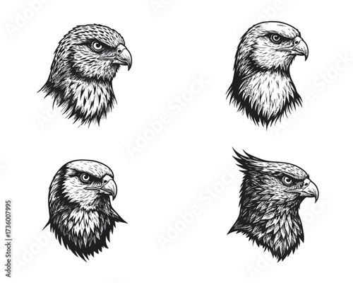 Four detailed black and white hand drawn sketches of majestic bird of prey heads including eagles and owls