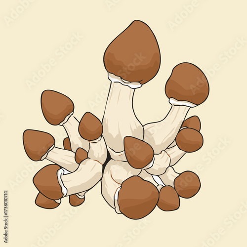 This detailed vector illustration features a cluster of brown-capped mushrooms with thick, light-colored stems. The arrangement is dense and organic, perfect for designs related to nature, foraging