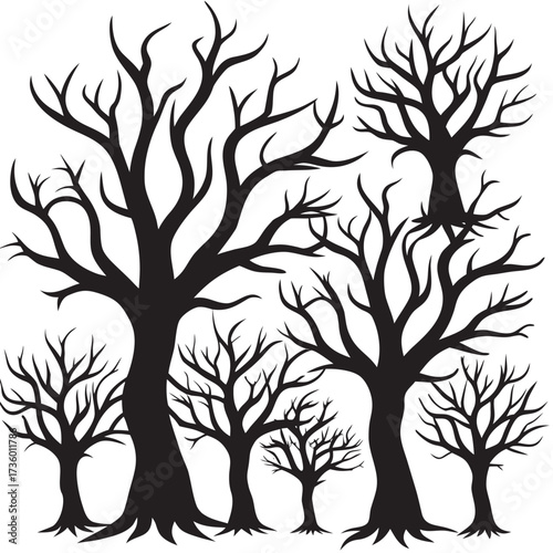 Silhouette of bare trees in a spooky forest