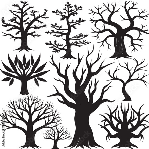 Silhouetted bare trees stand starkly against an
