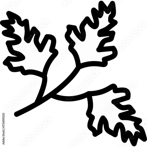 Herb arugula Icon