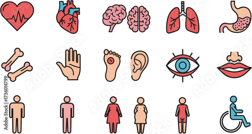 Simple Outline Colored Human Anatomy and Body Parts Healthcare Icon Set