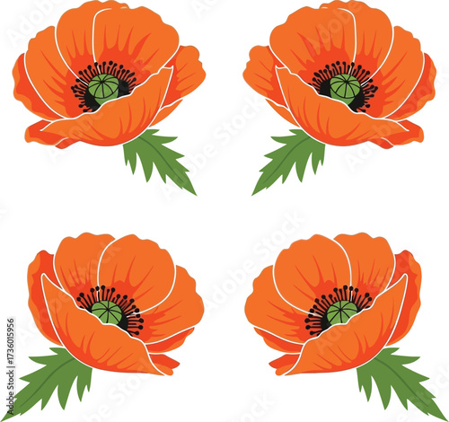 Four orange poppy flowers arranged in a square floral design