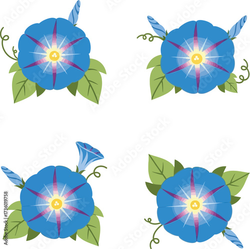 Four blue morning glory flowers with green leaves and vines in a fresh floral design