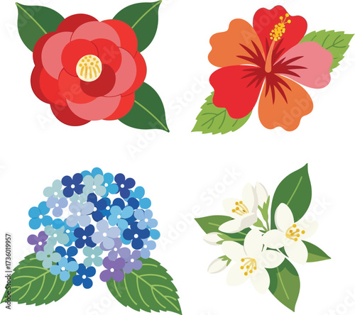 Collection of four colorful flowers including camellia, hibiscus, hydrangea, and jasmine