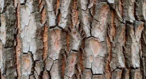 Bark Mosaic	