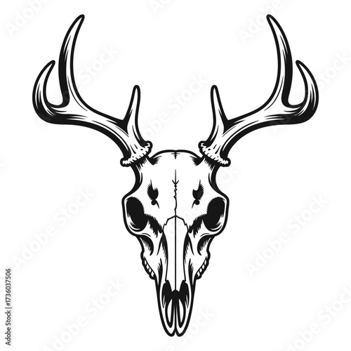 deer head vector