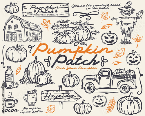 Pumpkin Patch Whimsical hand drawn vector illustration Set