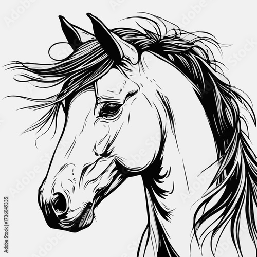 Detailed illustration of a horse's head with flowing mane  