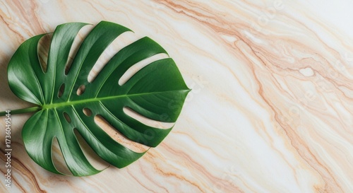 A vibrant green tropical leaf with natural fenestrations rests on a light cream marble surface featuring soft flowing orange-brown veins