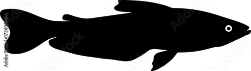 Minimalist Silhouette Detailed Freshwater Fish Specimen Aquatic Animal