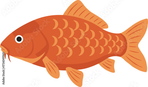 Simple Flat Illustration Orange Colored Koi Carp Fish Graphic Design