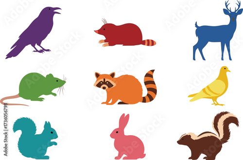 Colorful animal illustrations vector set wildlife species design art