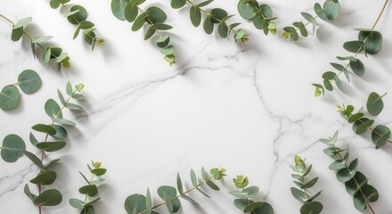 Green eucalyptus branches with round leaves are scattered on a white marble surface creating a natural frame