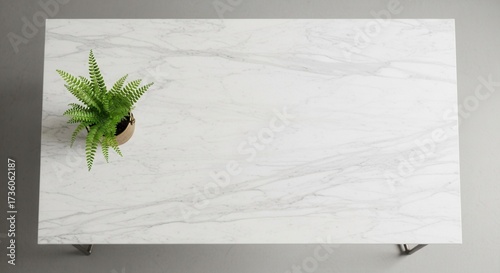 Overhead view of a white marble table featuring a vibrant green fern in a light pot on one corner set against a neutral grey background