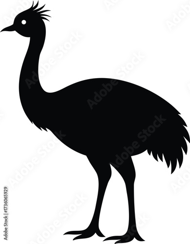 Vector art of silhouette of an emu bird standing design, Black and white Ostrich bird vector silhouette illustration