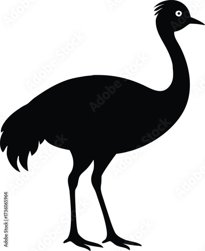 Vector art of silhouette of an emu bird standing design, Black and white Ostrich bird vector silhouette illustration