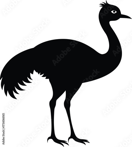 Vector art of silhouette of an emu bird standing design, Black and white Ostrich bird vector silhouette illustration