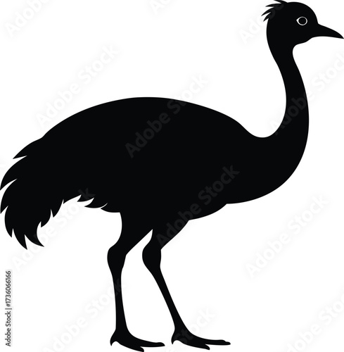 Vector art of silhouette of an emu bird standing design, Black and white Ostrich bird vector silhouette illustration