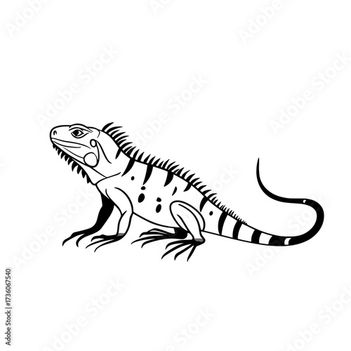 Iguana. Iguana simple black and white line art vector logo