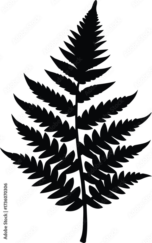 Fototapeta premium Fern Leaf Silhouette Vector, Fern Frond Vector Outline, Leaf Fern Clip Art, Black Fern Silhouette Illustration