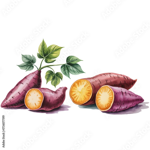 Watercolor illustration of freshly harvested sweet potatoes with green leaves
