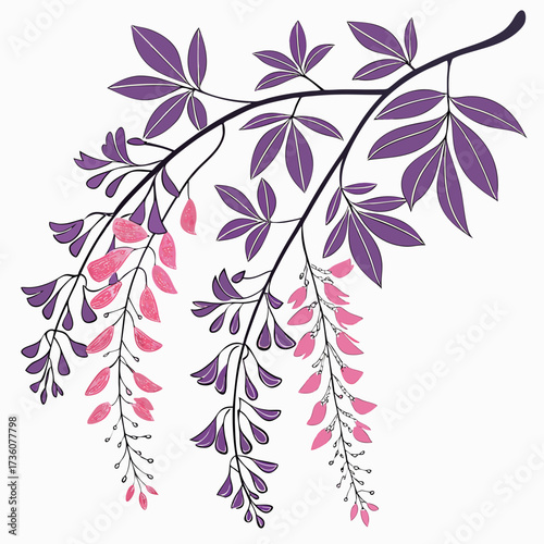 Delicate illustration of cascading wisteria branches with purple leaves and pink blossoms on a white background