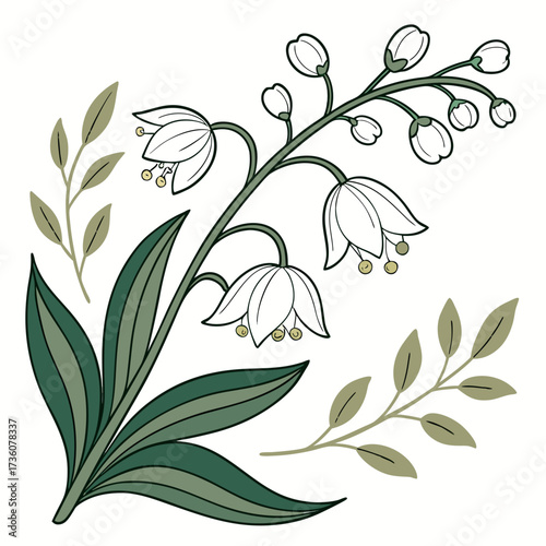 Elegant line art illustration of lily of the valley flowers and green leaves on a white background