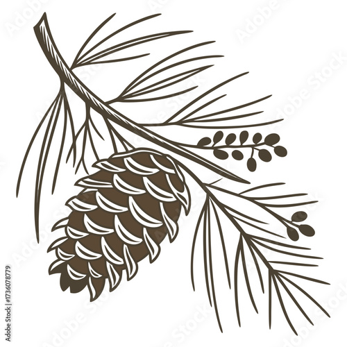 Stylized illustration of a pine cone with needles and small berries on a branch against a white background