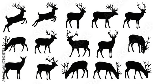 Deer silhouette vector illustration wildlife animal reindeer stag buck antler nature forest mammal art graphic